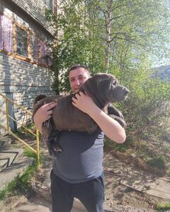 Алексей Сидоренко