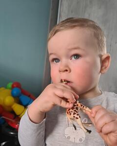 Андрей Князев