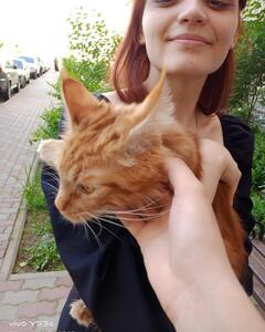 Ирина Сударева