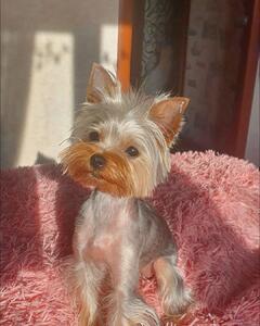 Ольга Калижанова