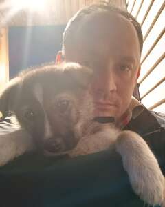 Андрей Московский