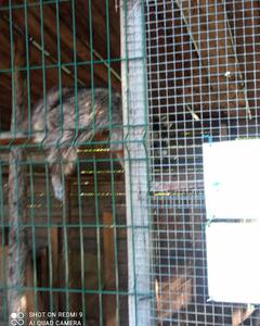 Екатерина Куклина