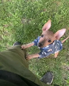 Анастасия Тарасова