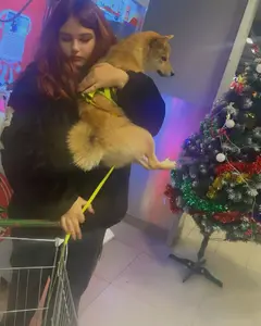 София Буторова