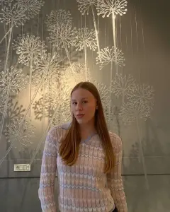 Aлина Владимирова