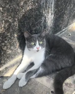 Бетельгейзе 