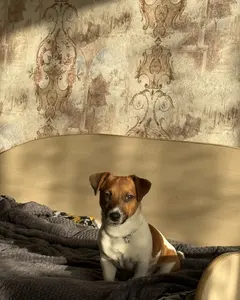 Ирина Бочковская