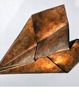 Оля Петрашко