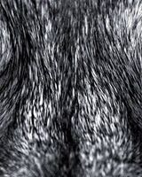 Игорь Кутырёв