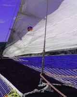 Елена Тимошенко