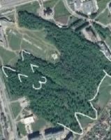 Василий Васильевич