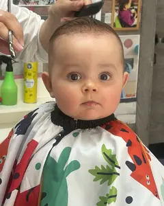 Александр Шорин