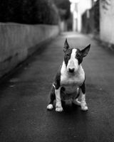 Ктото Откуда