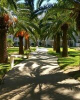 Настя Андрианова