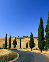 Андрей Старостин