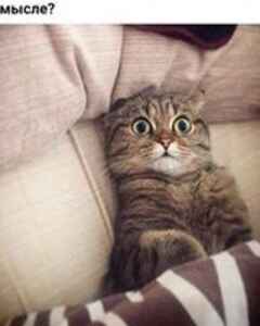 Роман Батюшкин