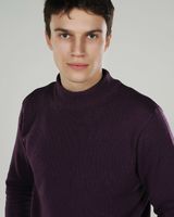 Владислав Высокий