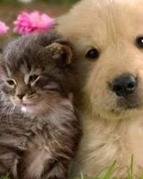 Настя Давыдова