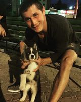 Владимир Арсентьев