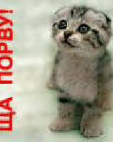 Сергей Маёренко