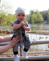 Давид Шенгелия