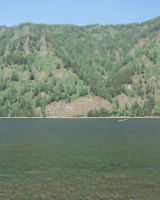 лилия грачевская