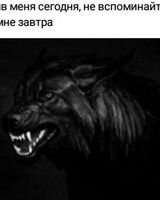 Анастасия Никитина