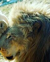 Наталья Москалева