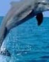 Очищаем кредитную-историю