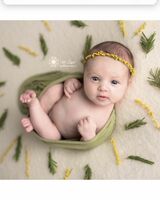 Мирабелла Филь