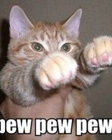 Александр Шутов