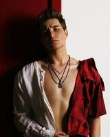 Ермолай Варвиков