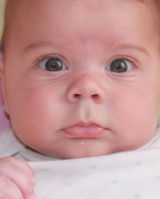 Давид Липовецкий