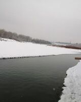 Константин Меженский