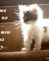 Светлана Яценко