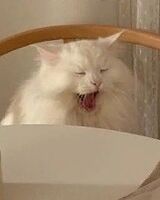 Дарья Марченко