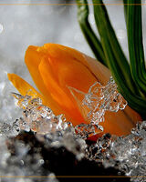 Екатерина Пономарева