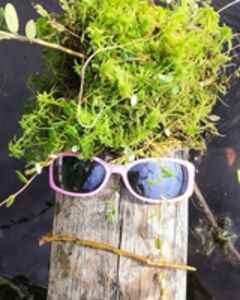 Илья Худояров