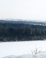 Тамара Перовская