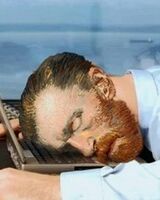 Дарья Алоец