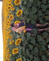 Наталия Бровкина