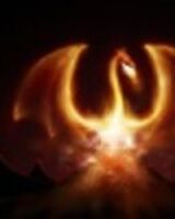 Дима Иванов