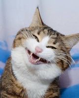 Алексей Алодиянов