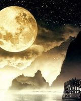 Дмитрий Цыварев