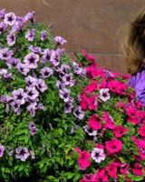 Нелли Василиене