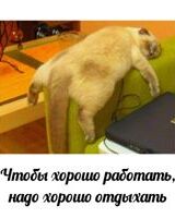 Наталья Донских