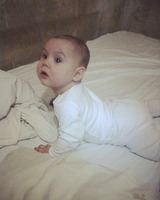 Леонид Волох