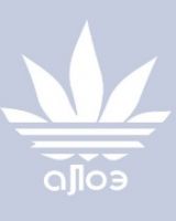 Егор Иванов