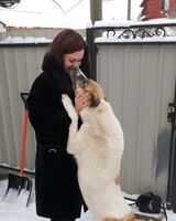 Елизавета Новикова