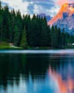 Диана Федорова